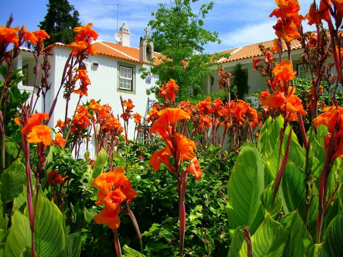 Casa da Azenha Villa Peso da Régua Kültér fotó