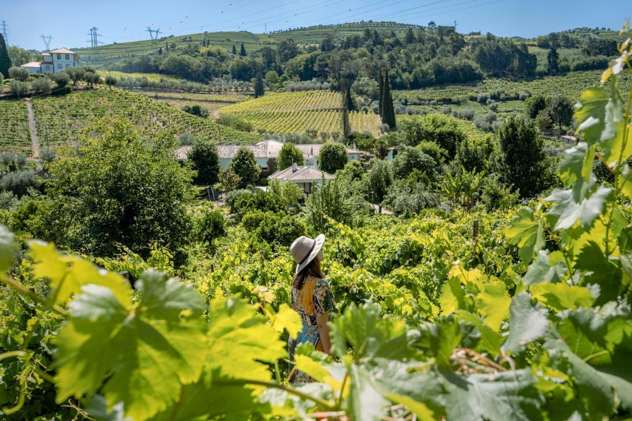 Casa da Azenha Villa Peso da Régua Kültér fotó